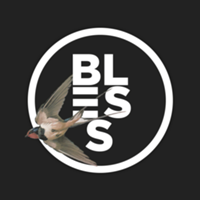 Studio @blessstore de Bless Estúdio Criativo