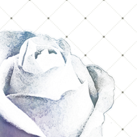 Studio @michellerose de Michelle Rose