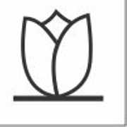 Studio @tulipastudio de Tulipa Studio