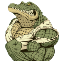 Studio @crocsgames de CROCS GAMES