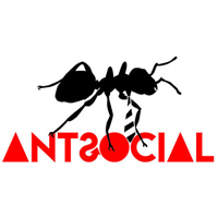 Studio @ant de Ant Social