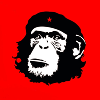Studio @usehomosapiens de Homo Sapiens