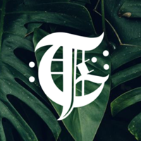 Studio @tropicalgustattoo de TropicalGus Tattoo Co.