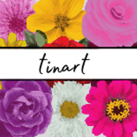 Studio @tinart de tinart