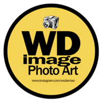 Studio @wdimgstore de Wallace Damião