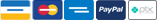 Pix, Visa, Master, Amex,<br/>Hipercard, Diners & Paypal