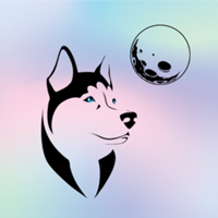 Studio @spacedog de Space Dog