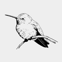 Studio @lineartzoo de Line art Zoo
