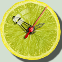 Studio @thelemonwatch de THE-LEMON-WATCH