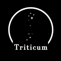 Studio @triticumstore de Marianna Ottoni