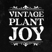 Studio @vintageplantjoy de Vintage Plant Joy Brasil