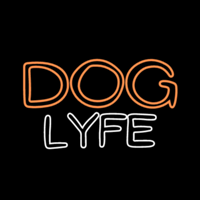 Studio @doglyfe de DOG LYFE