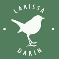 Studio @larissadarin de Darin Arte