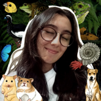 Studio @beatrizgarcia de Beatriz Garcia de Sousa