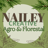 Studio @nailey de Nailey