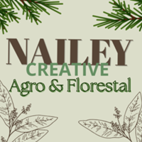 Studio @nailey de Nailey