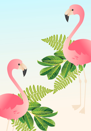 Flamingos 