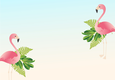 Flamingos 