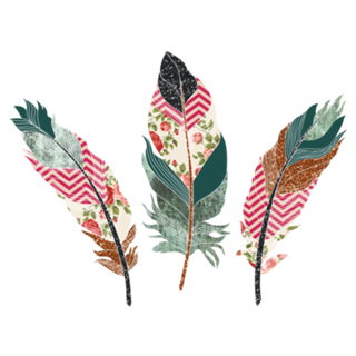 Feathers