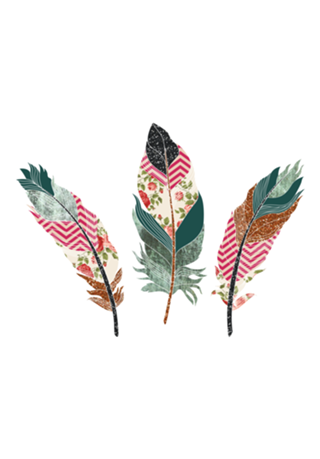 Feathers