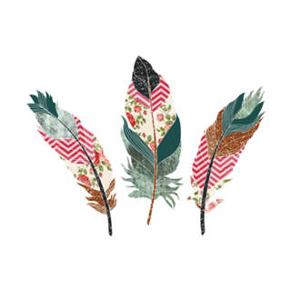 Feathers