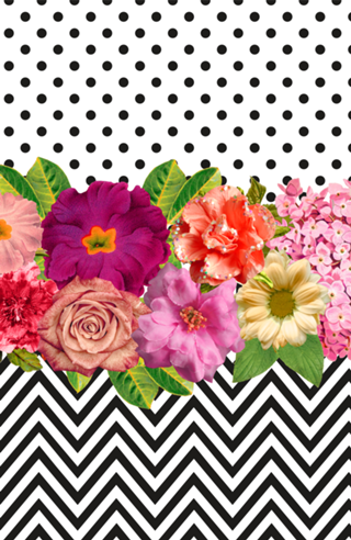 Floral, Poá e Zigzag