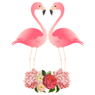 Flamingos & Black