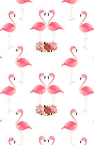 Flamingos & Black