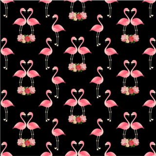 Flamingos & Black