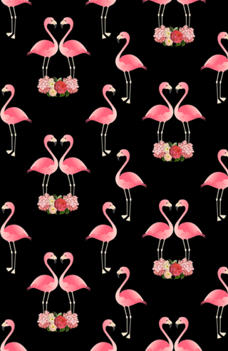 Flamingos & Black