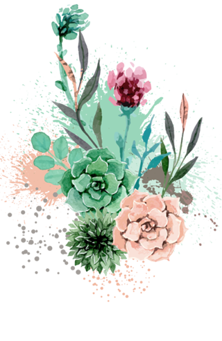 Succulents and triangles