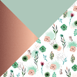 Succulents and triangles