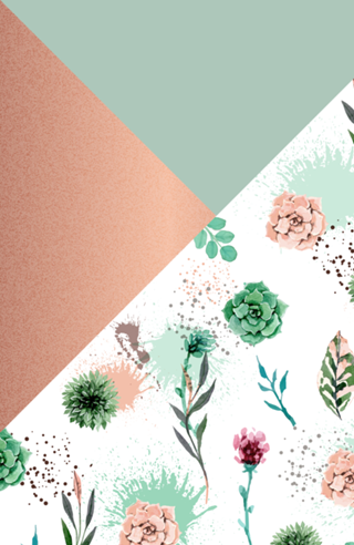 Succulents and triangles