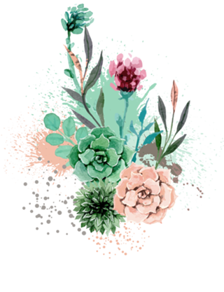 Succulents and triangles