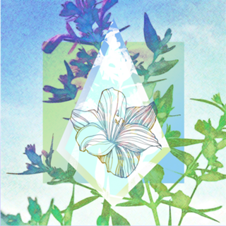 Flor