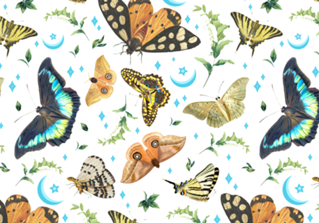 Jardim de mariposas