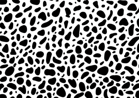 Dalmatian