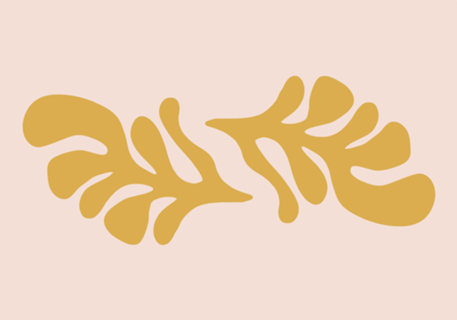 Matisse Inspo
