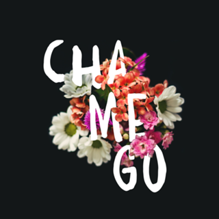 Chamego