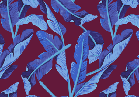 Tropical '17 - Blue Bird Of Paradise