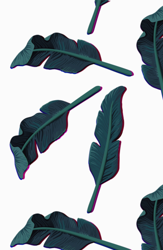 Tropical '17 - Hummingbird