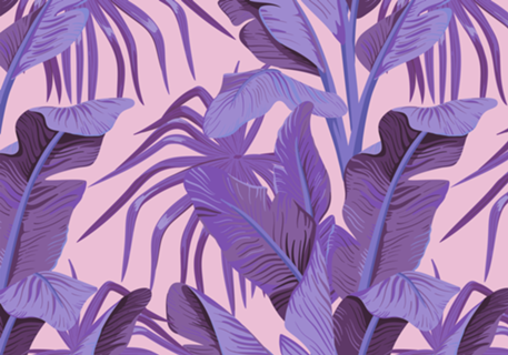 Tropical '17 - Sunbird