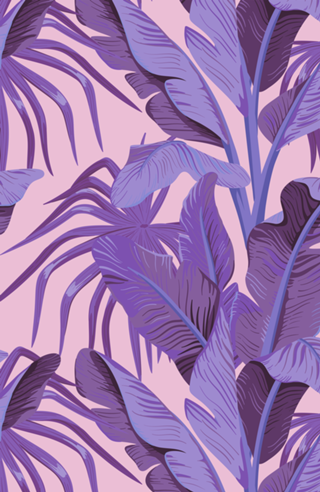 Tropical '17 - Sunbird