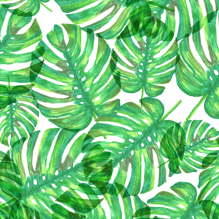 Jungle