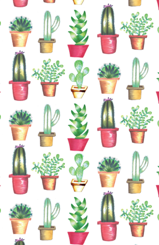 Cactus