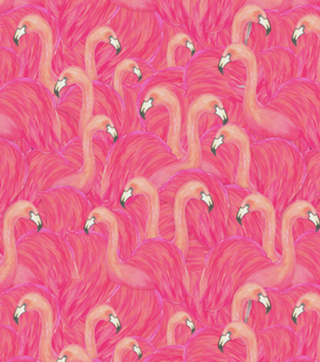 Flamingo rosa