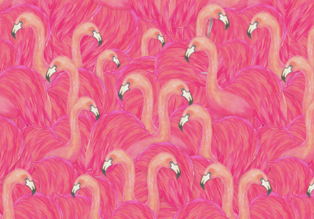 Flamingo rosa