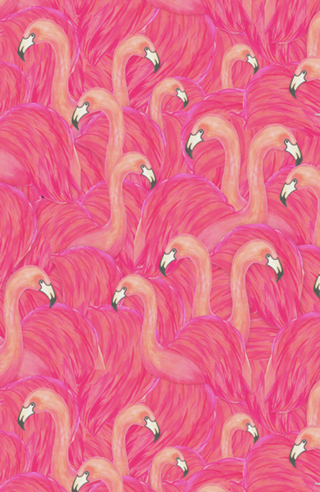 Flamingo rosa