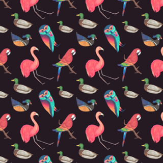 Birds