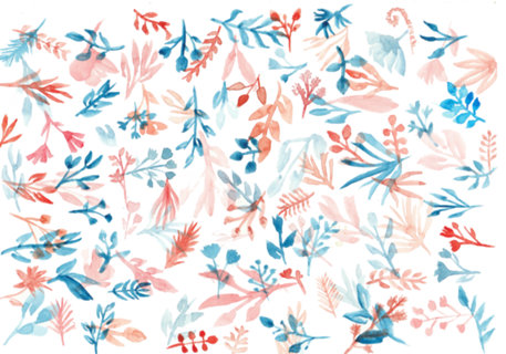 Bloom